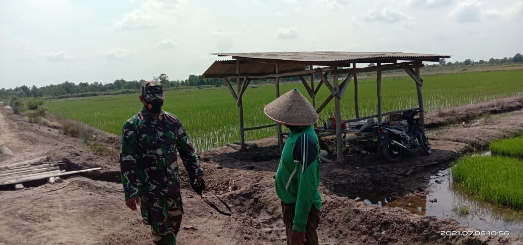 Foto : Istimewa (doc Yusuf)