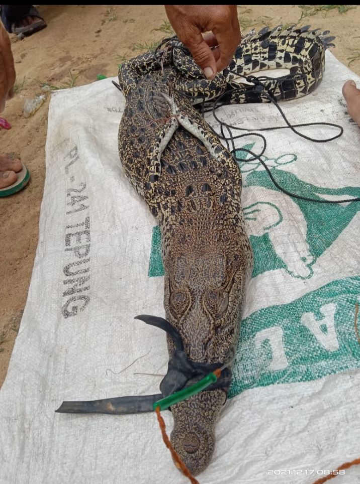 Foto ： Istimewa（doc HE）