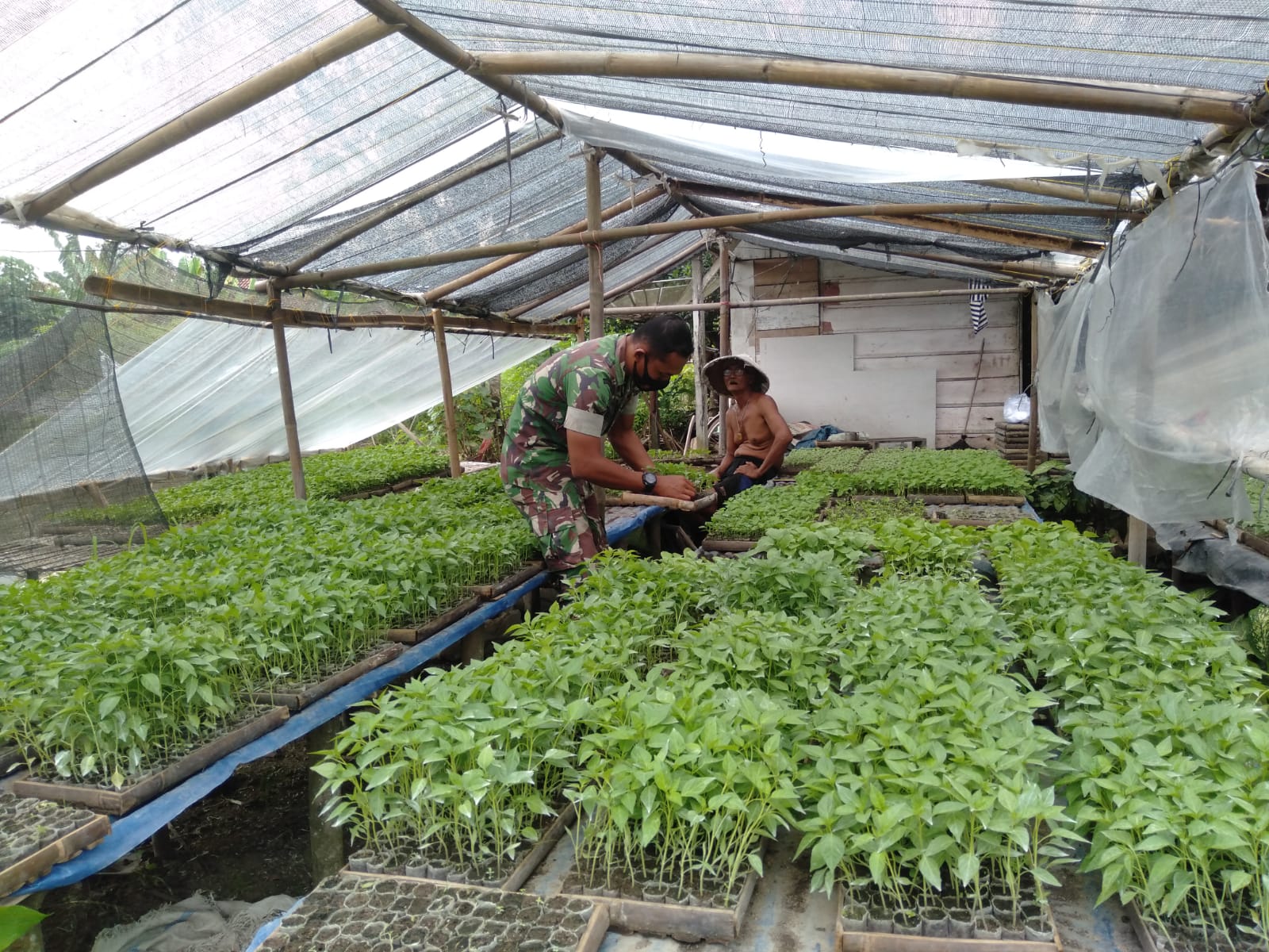 Foto ： Istimewa （doc HE）