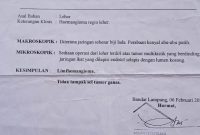 Foto ： Istimewa （doc HE）