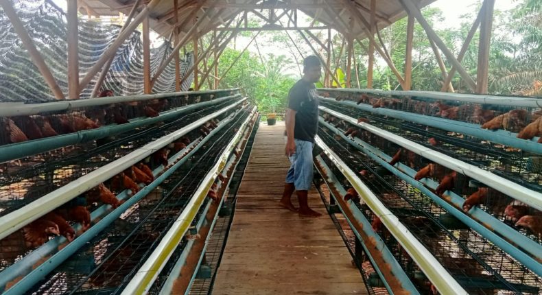 foto slider headline