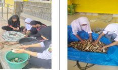 SLB Negeri Tulang Bawang Barat Cetak Prestasi dan Terus Berbenah Tingkatkan Layanan Pendidikan